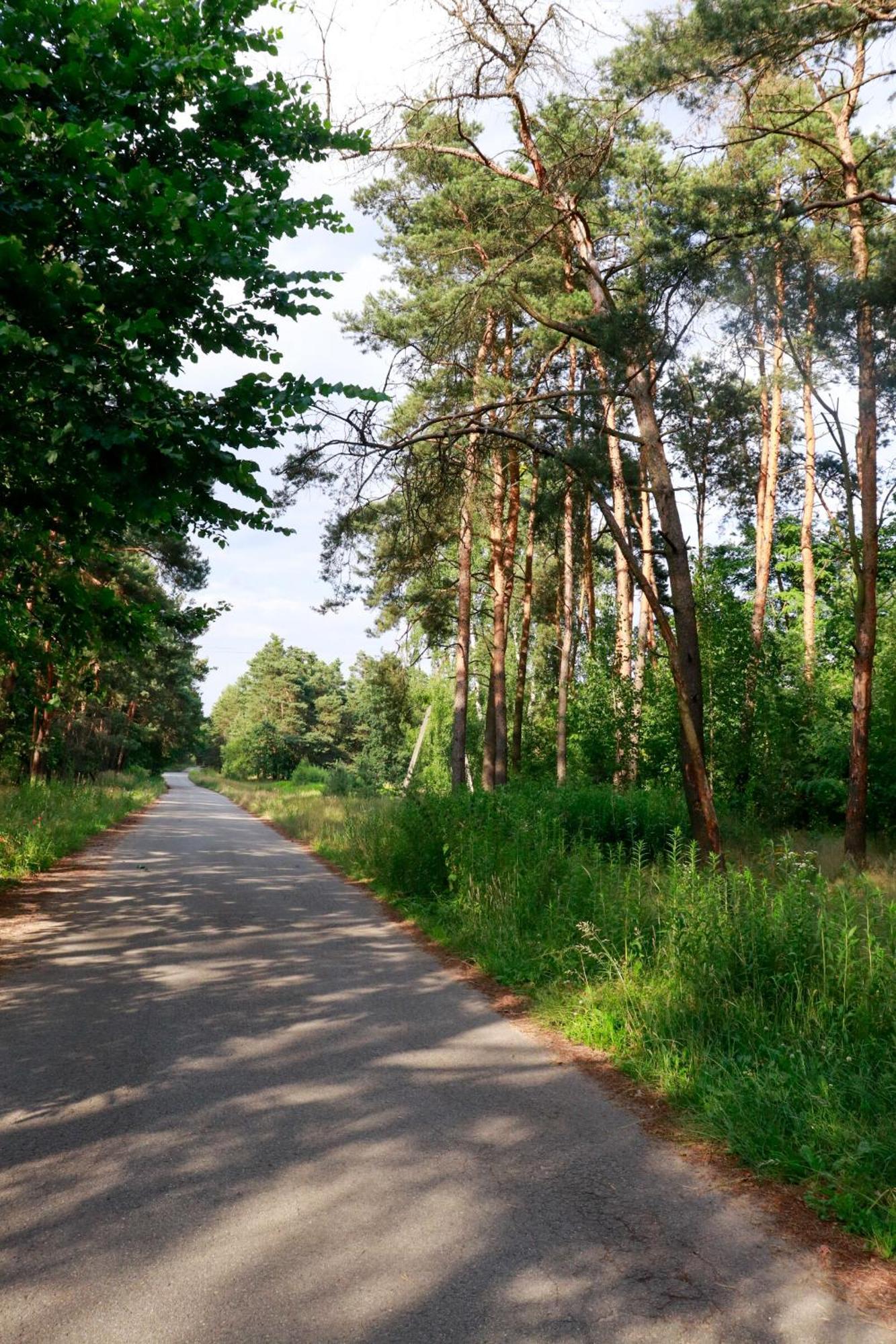 Agroturystyka U Koziolka Dlugowola Esterno foto